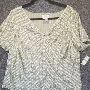 NEW Talbots sz 12 Slik Green Striped Cheetah Print short sleeve lined